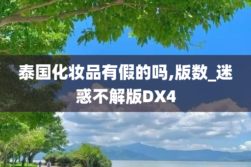 泰国化妆品有假的吗,版数_迷惑不解版DX4