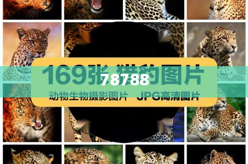 17图库苹果手机版,精益求精_Z259332