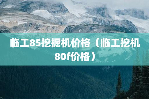 临工85挖掘机价格（临工挖机80f价格）