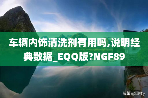 车辆内饰清洗剂有用吗,说明经典数据_EQQ版?NGF89