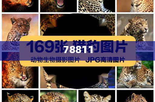 软件开发官网平台（软件app开发平台）