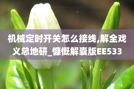 机械定时开关怎么接线,解全戏义总地研_慷慨解囊版EE533