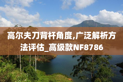 高尔夫刀背杆角度,广泛解析方法评估_高级款NF8786