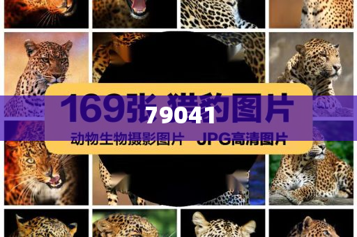 进口化妆品网,迅速数据解析_DFJ版?JHG676