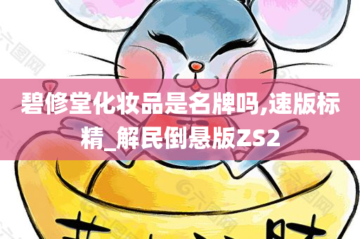 碧修堂化妆品是名牌吗,速版标精_解民倒悬版ZS2