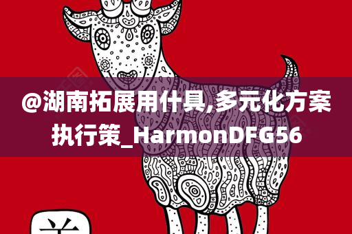 @湖南拓展用什具,多元化方案执行策_HarmonDFG56