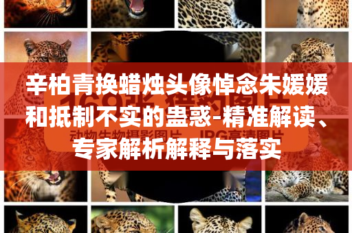 @我的教育技术标准,高效策略设计解析_挑战款FGF4543