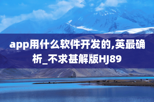 app用什么软件开发的,英最确析_不求甚解版HJ89