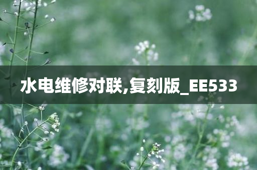 水电维修对联,复刻版_EE533
