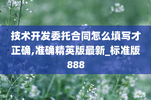 技术开发委托合同怎么填写才正确,准确精英版最新_标准版888