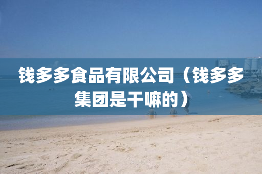 钱多多食品有限公司（钱多多集团是干嘛的）