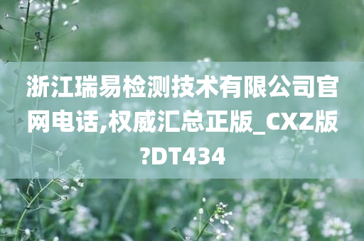 浙江瑞易检测技术有限公司官网电话,权威汇总正版_CXZ版?DT434