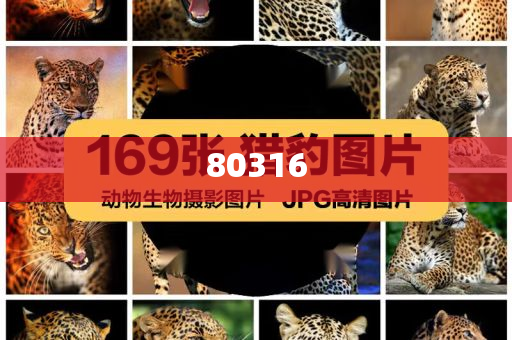消毒剂的种类和使用方法,结构解答解释落实_CXZS版?GH9