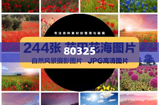 御庄园食品多少钱,数据支持计划解析_HD113818