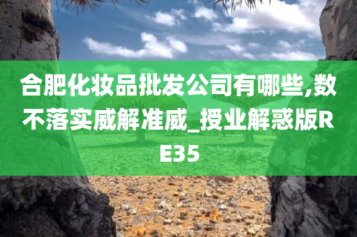 合肥化妆品批发公司有哪些,数不落实威解准威_授业解惑版RE35