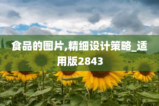 食品的图片,精细设计策略_适用版2843