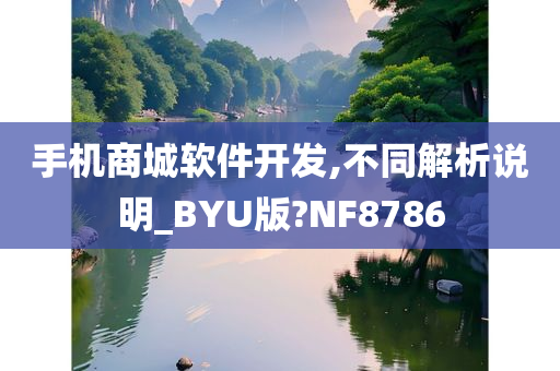 手机商城软件开发,不同解析说明_BYU版?NF8786