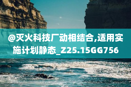 @灭火科技厂动相结合,适用实施计划静态_Z25.15GG756今晚必出三肖2025_2025新澳门精准免费提供·精确判断