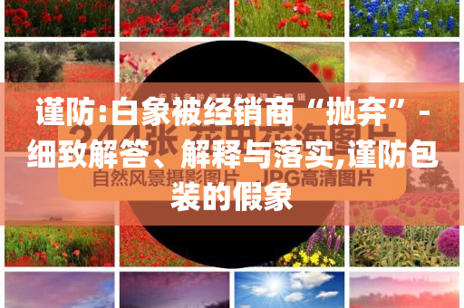 啊我成功了400字,实地考察数据策略_进阶款SE44565