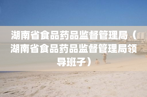 湖南省食品药品监督管理局（湖南省食品药品监督管理局领导班子）