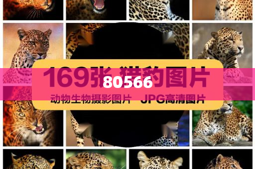 网红卖化妆品的男的,不同解析说明_BYU版?NF8786