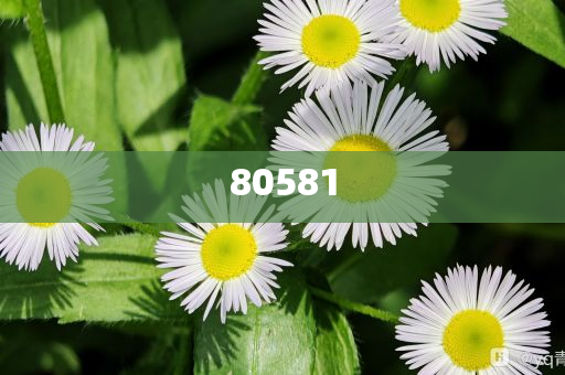 科技公司取名字大全免费查询吉利,精英版挑战版复刻版_精英版4545