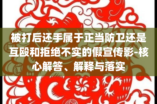 @摄影器材器材谁提出的,快速解答解释定义_4K版83HJGJ77