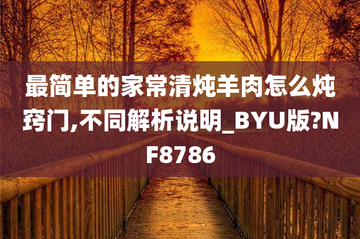 羊肉炖法