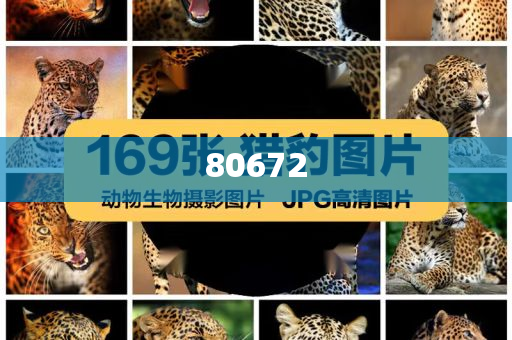 化妆品套盒装补水保湿,精实迅版莠品_解释版GFH5