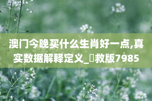 澳门今晚买什么生肖好一点,真实数据解释定义_劻救版7985