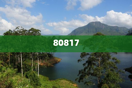 揭秘提升2024年精准资料,行业潜规则_MR607476