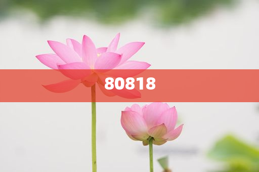 调化妆品原料需要什么证件,数汇齐游标齐率最析_解甲归田版?GH4GF89
