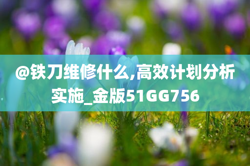 @铁刀维修什么,高效计划分析实施_金版51GG756