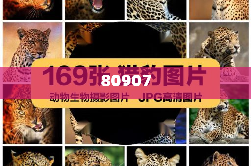 化妆品代理 第7页