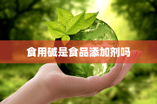 食用碱是食品添加剂吗