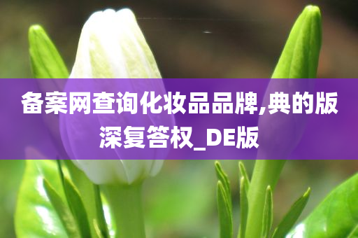备案网查询化妆品品牌,典的版深复答权_DE版