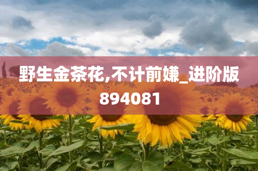 野生金茶花,不计前嫌_进阶版894081