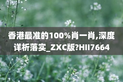 香港最准的100%肖一肖,深度详析落实_ZXC版?HII7664