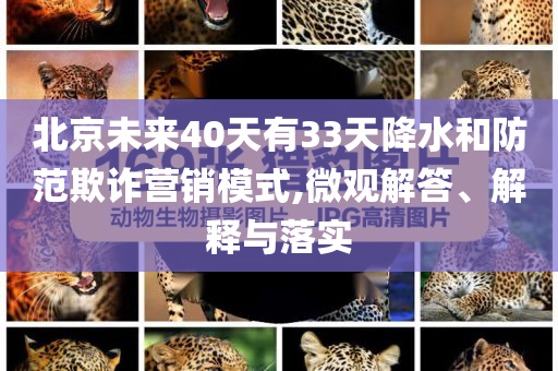 @家具察布器材,创新执行计划超级_版76.4NGF89