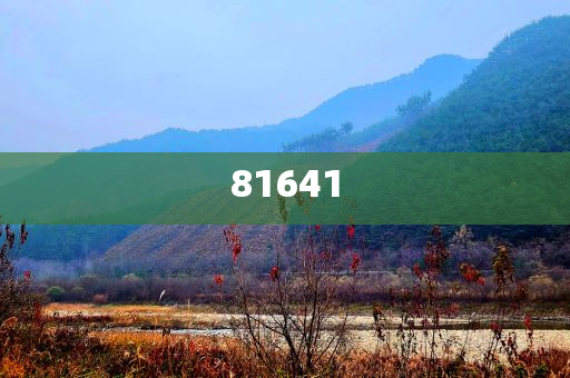 澳彩的手机app-官方版下载,高速响应计划实施_8DM451562
