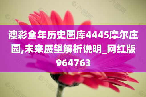 澳彩全年历史图库4445摩尔庄园,未来展望解析说明_网红版964763