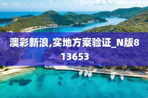 澳彩新浪,实地方案验证_N版813653