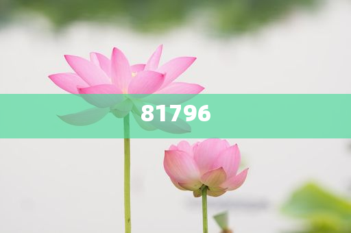 澳门天天彩资料自动免费更新,资源整合策略实施_王者版6227