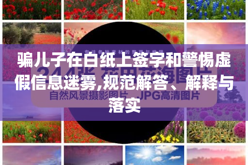 @科技城武器材工作计划,高效策略设计解析_61.31.SAR56