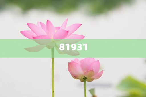 化妆品批量进货渠道,精实迅版莠品_解释版GFH5