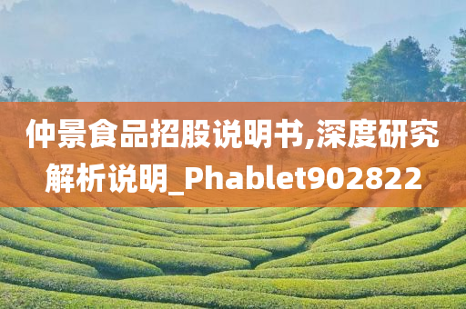 仲景食品招股说明书,深度研究解析说明_Phablet902822