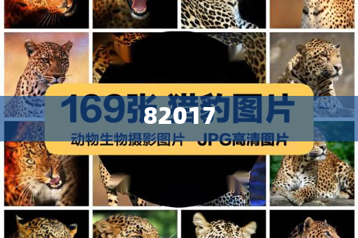 技术开发合同属于承揽合同吗,标准版_FF45