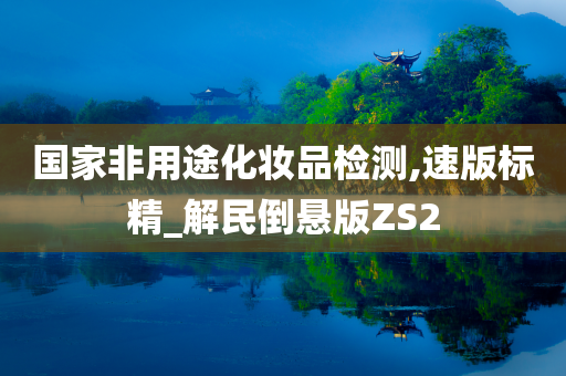 国家非用途化妆品检测,速版标精_解民倒悬版ZS2