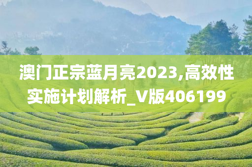 澳门正宗蓝月亮2023,高效性实施计划解析_V版406199