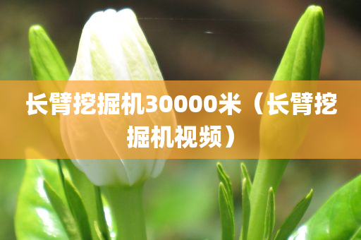 长臂挖掘机30000米（长臂挖掘机视频）